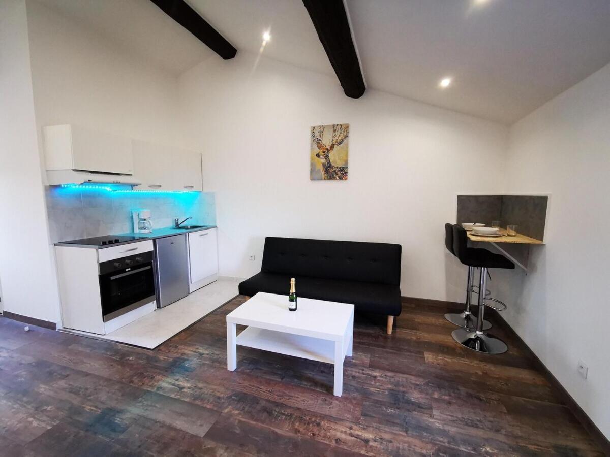 O Bon Temps - Suite Detente Chasse-sur-Rhone Exterior photo